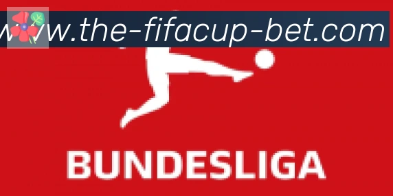 FIFA世界杯买球入口合作伙伴