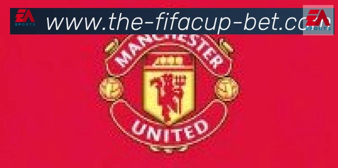 FIFA世界杯买球入口合作伙伴