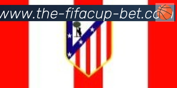 FIFA世界杯买球入口合作伙伴